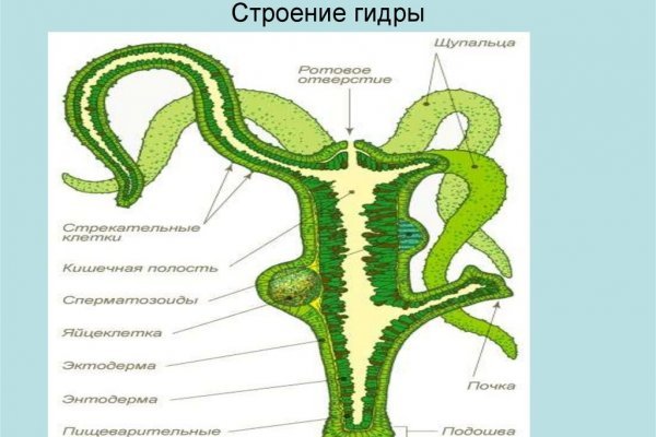 Кракен маркетплейс про