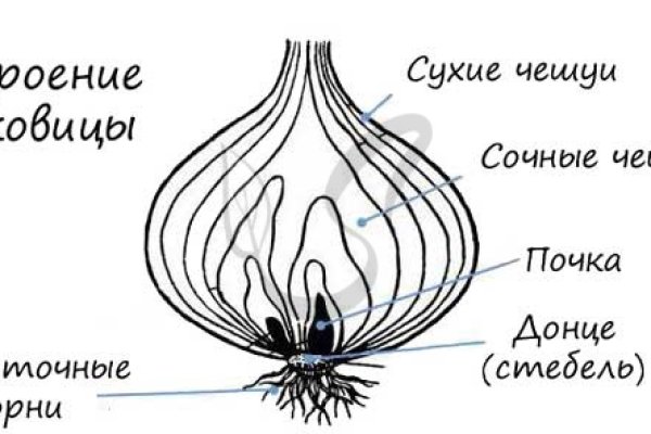 Ссылка на кракен на сегодня